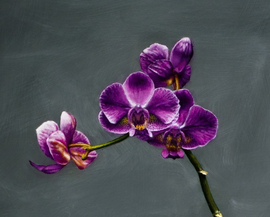 Орхидея отражение в воде