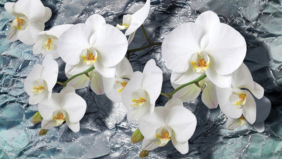 Белые орхидеи и цветы приглашение