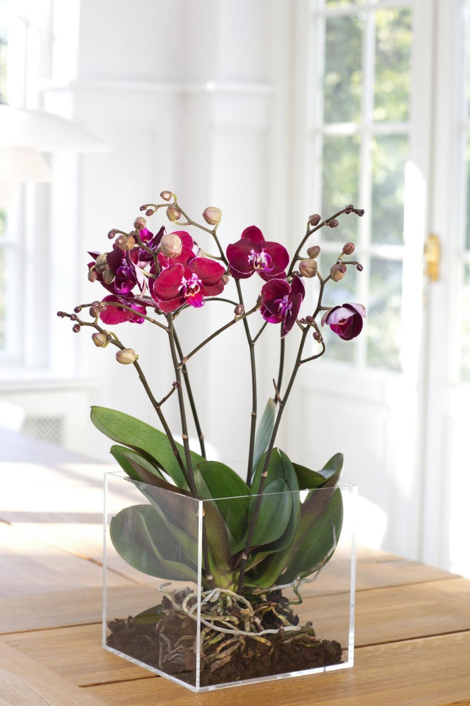Кашпо для орхидеи idea Адель