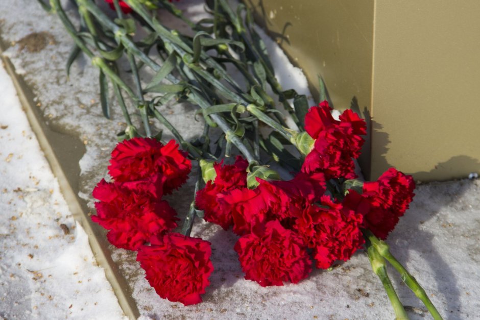 Цветы в честь памяти афганской войне