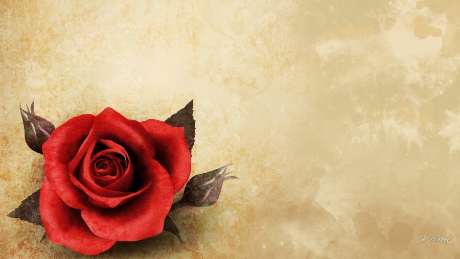Пергамент с розами