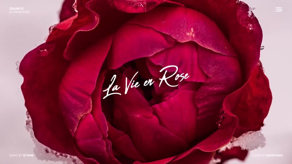 La vie Rose