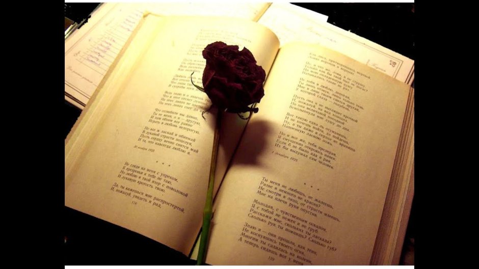 Красивые цитаты про розы