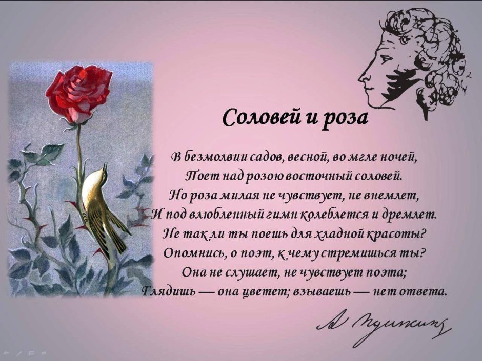 Poetry роза