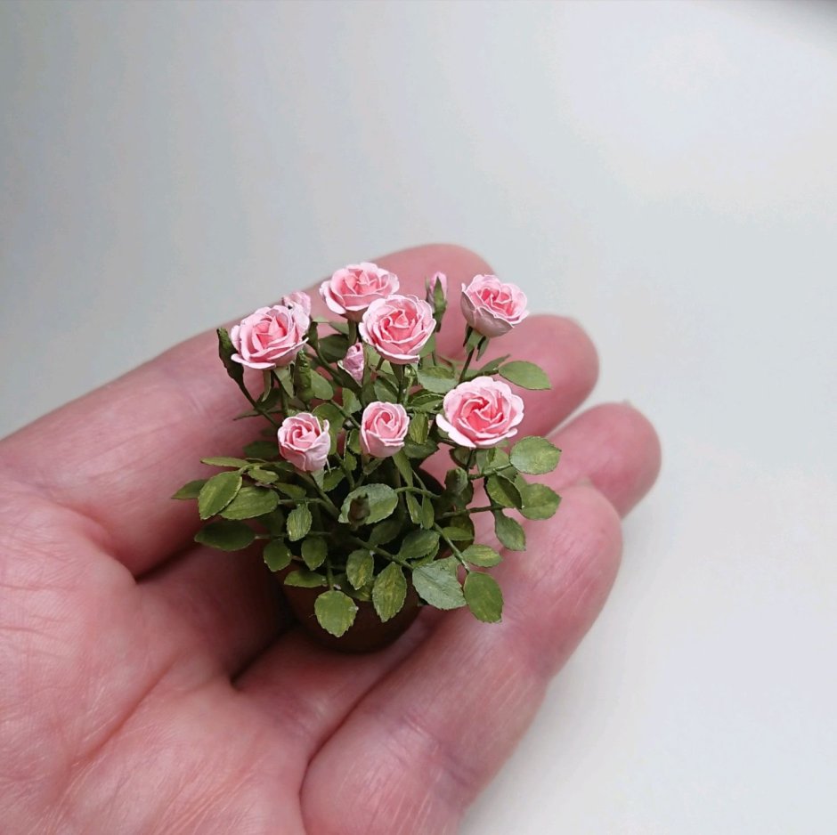 Маленькие розы