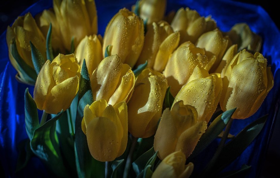 Букет желто голубых тюльпанов