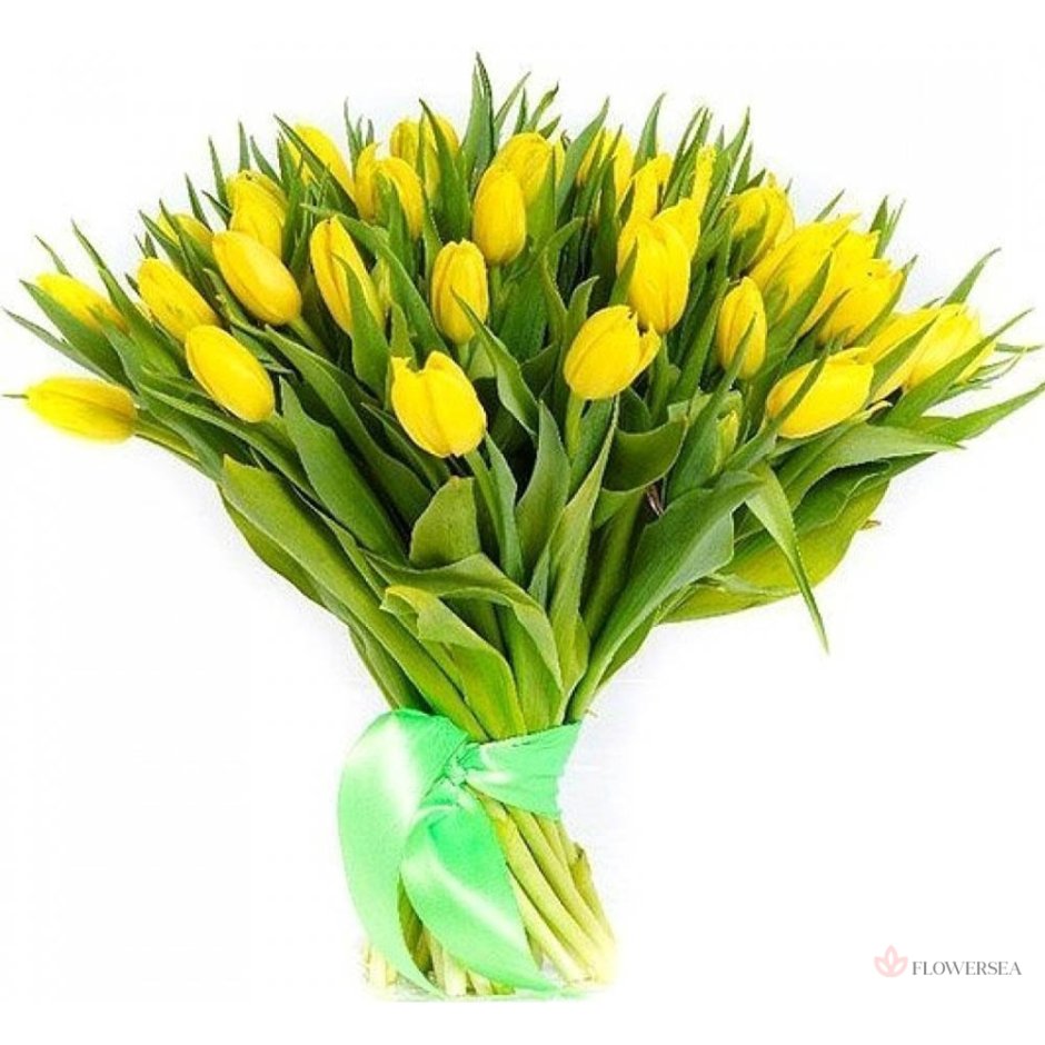Букет тюльпанов 51шт жёлтые