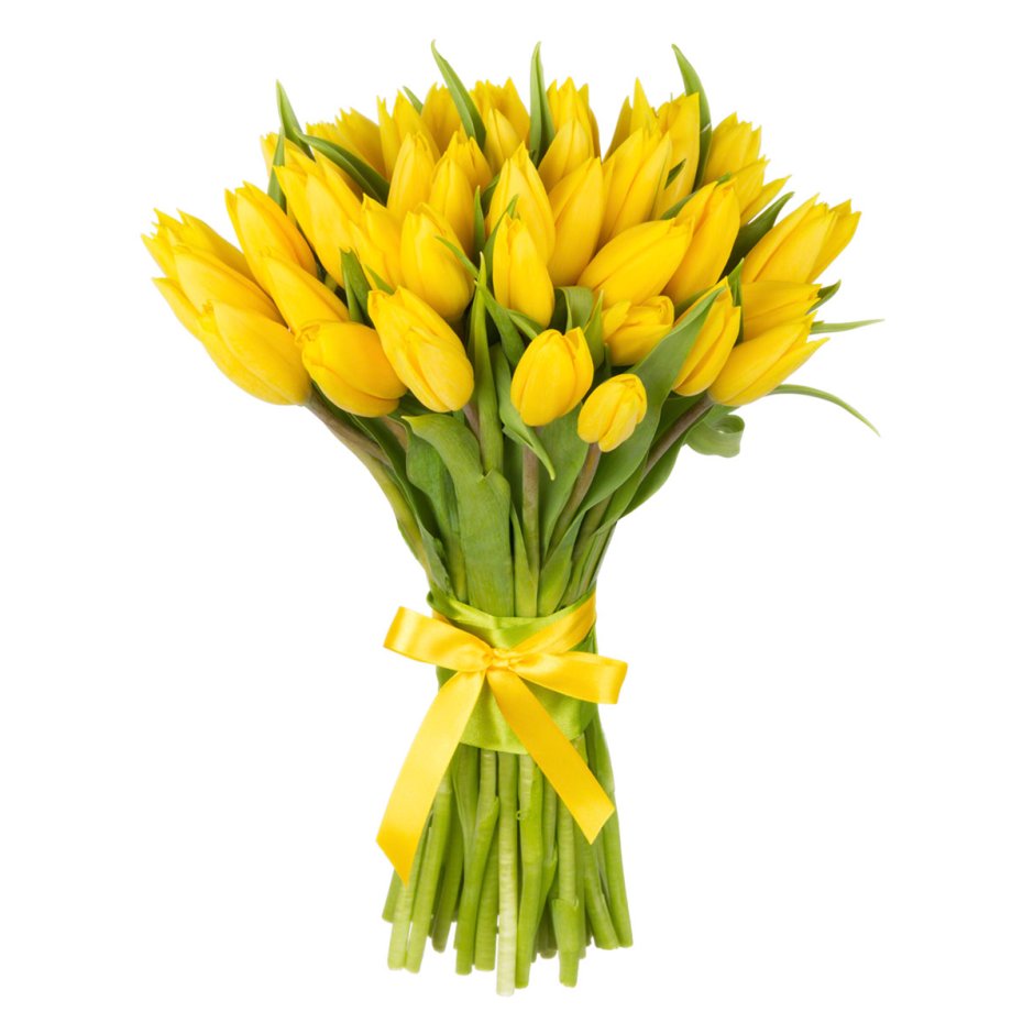 301 Желтый тюльпан