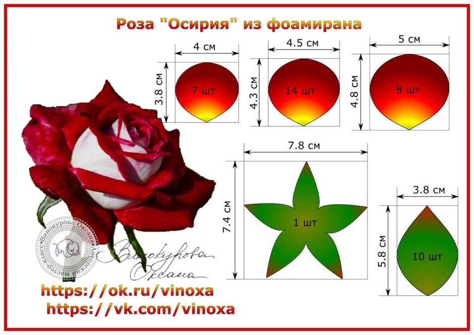 Роза Осирия шаблон