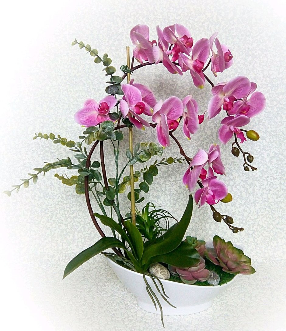 Дифужен Орхидея