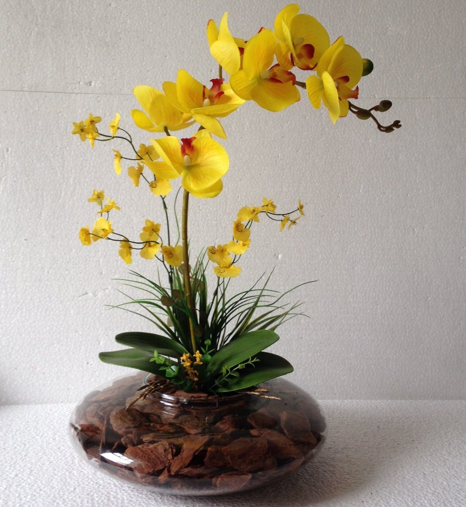 Орхидея Икебана Живая