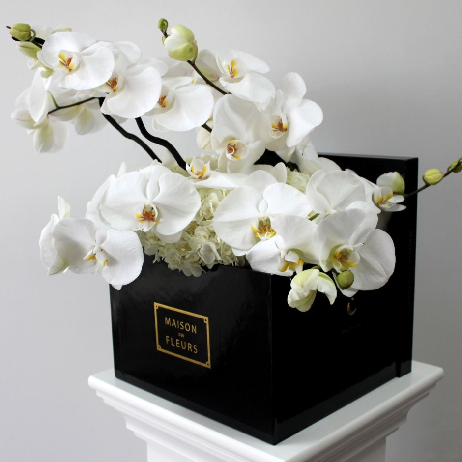Композиция с черными орхидеями