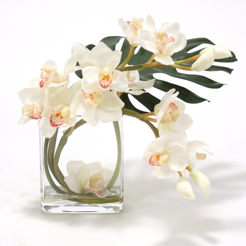 Орхидея в стеклянной вазе