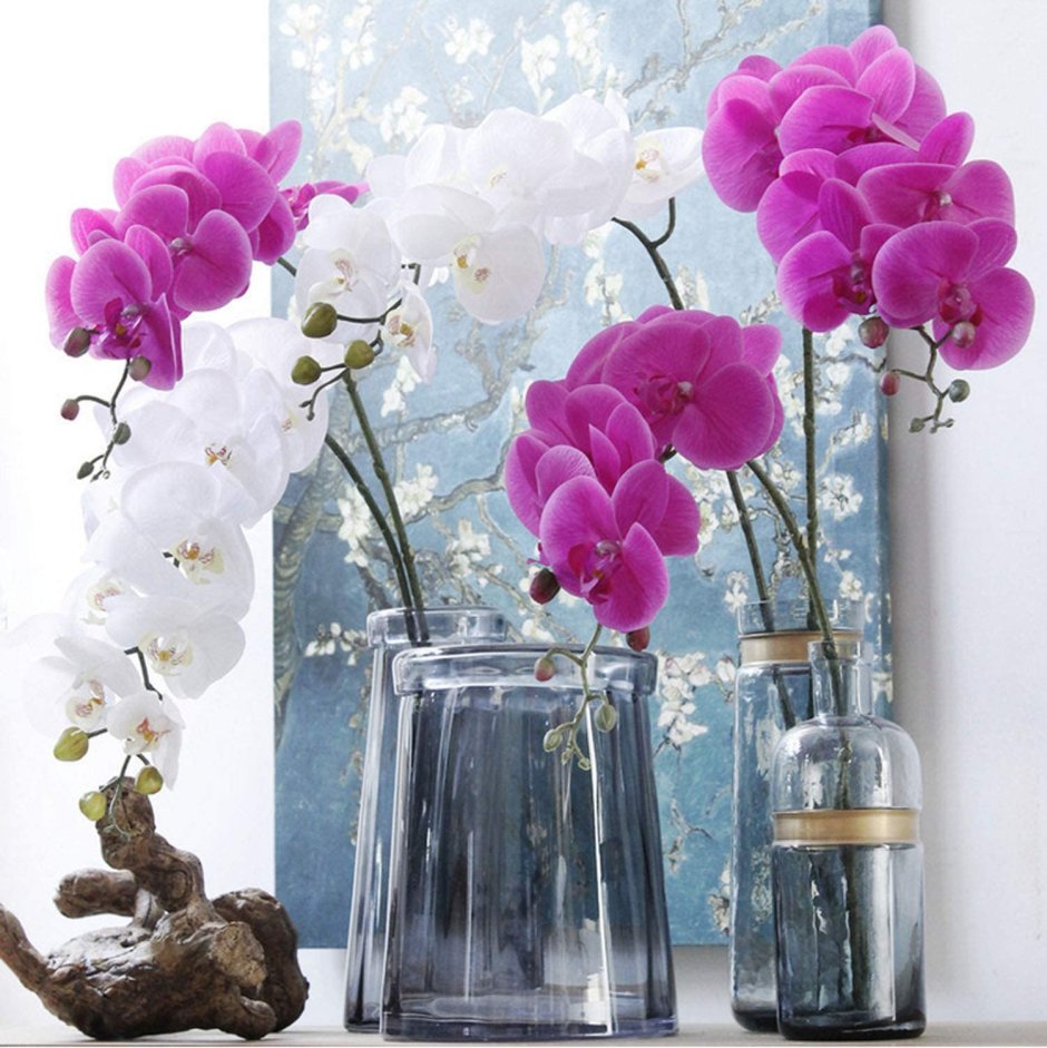 Красивые вазы для орхидей