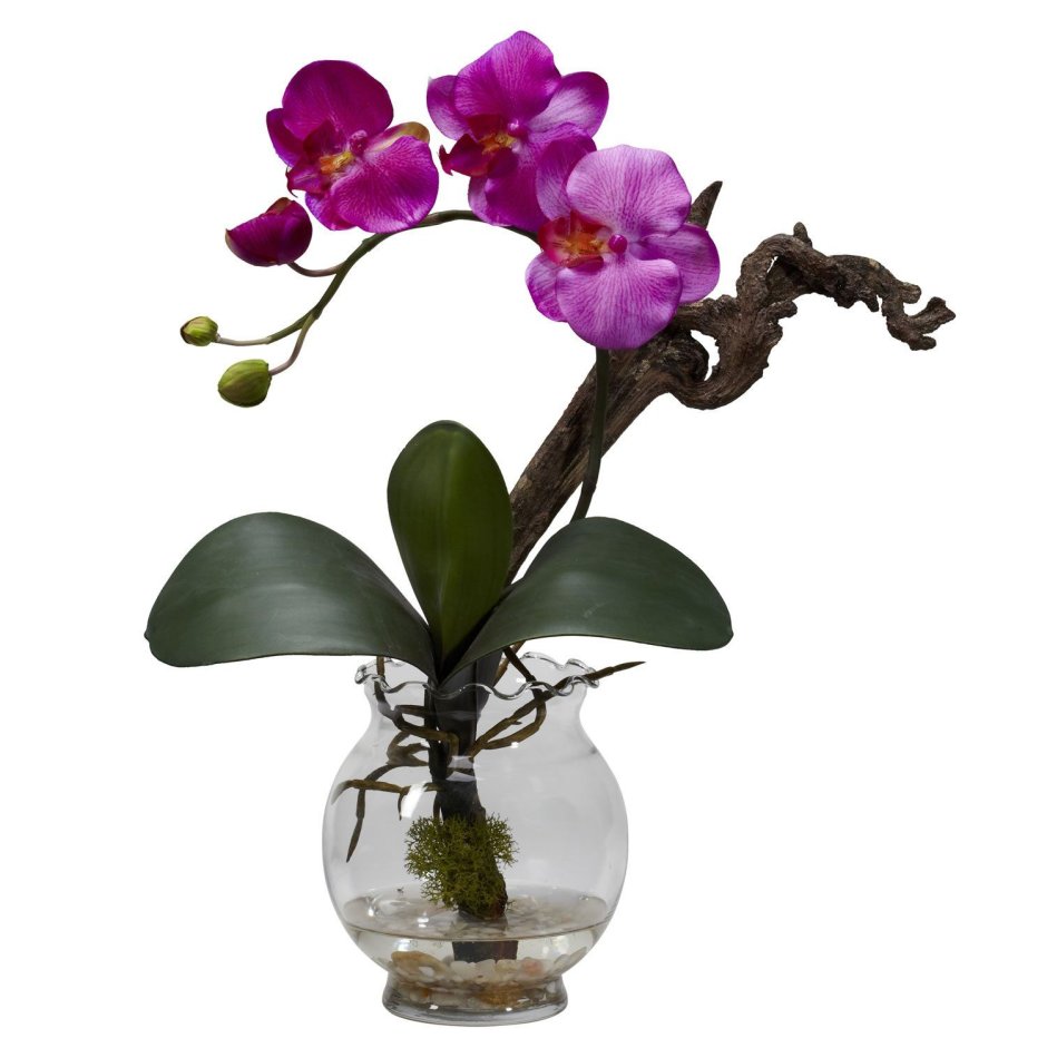 Орхидеи в хрустальной вазе