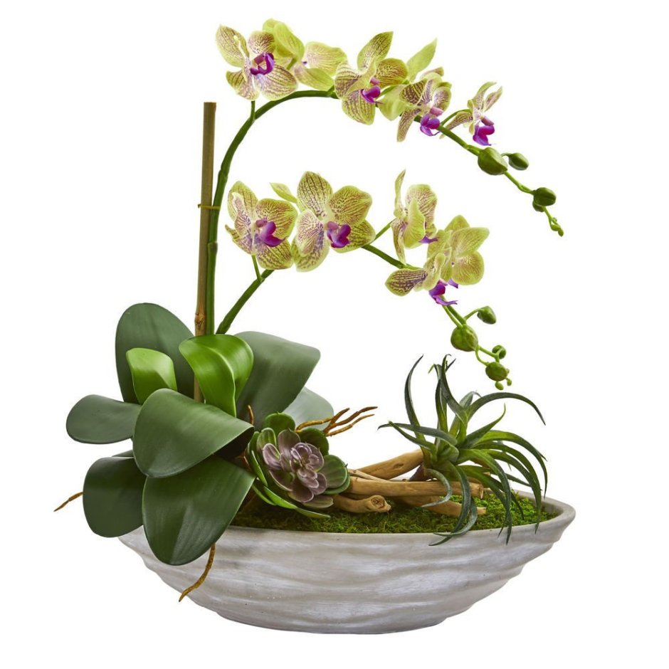 Поле орхидей