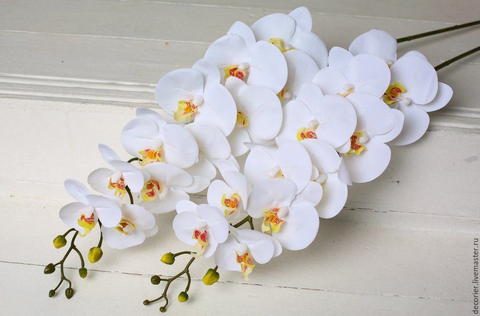 Орхидеи искусственные из латекса