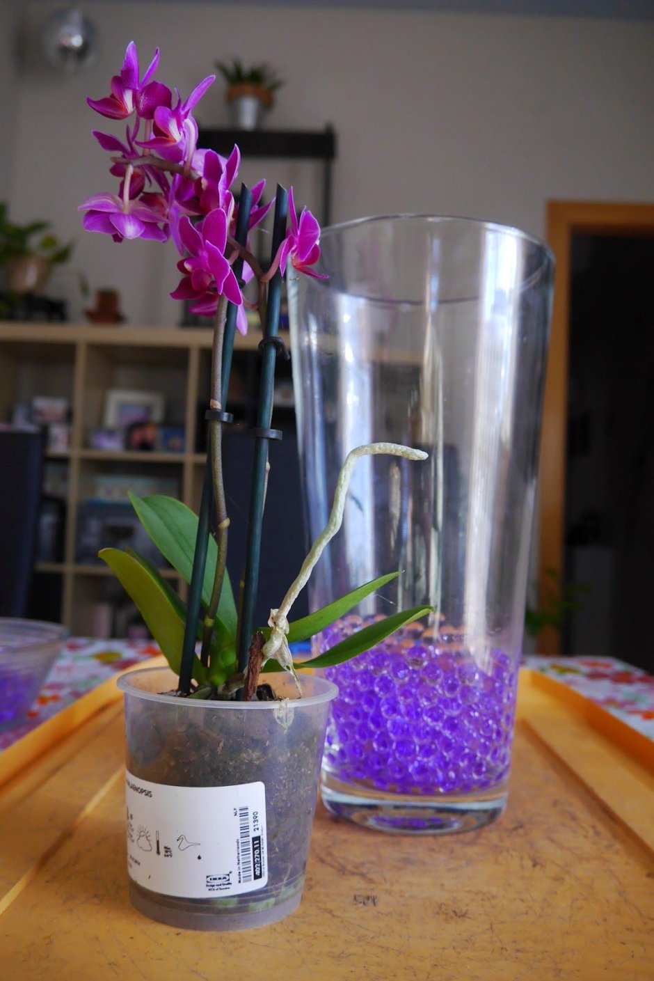 Стеклянные вазы для орхидей
