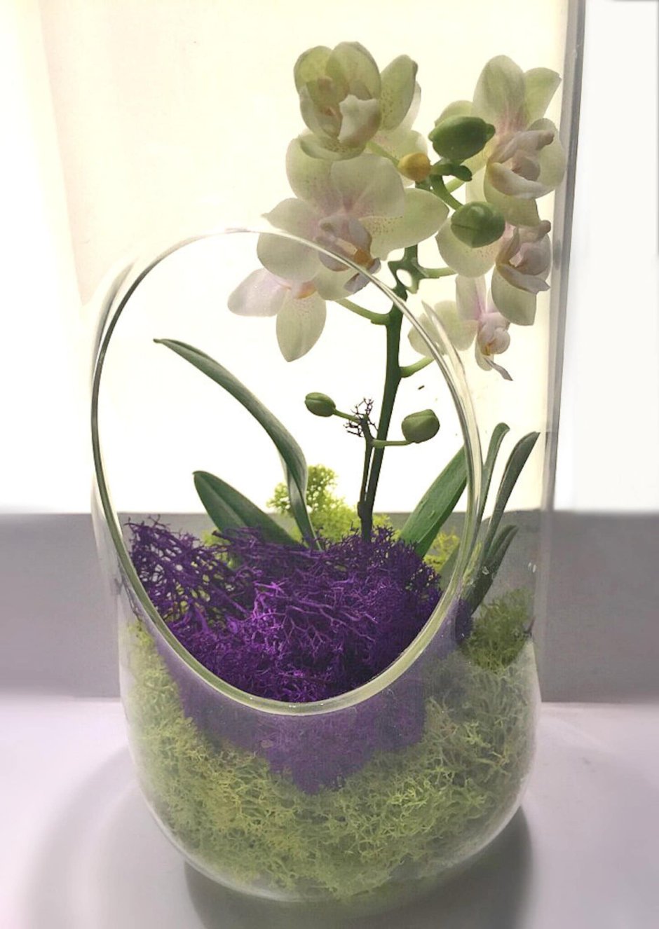 Орхидеи в стеклянных вазах