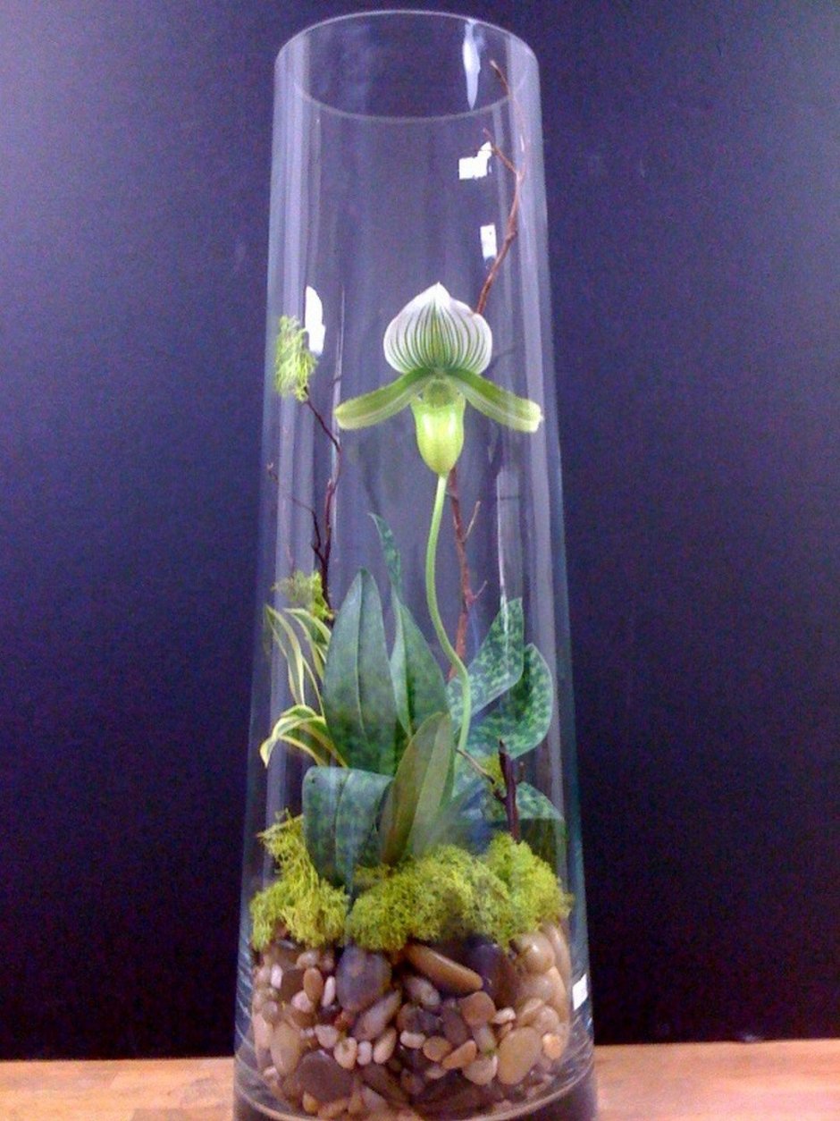 Орхидея в стеклянной колбе