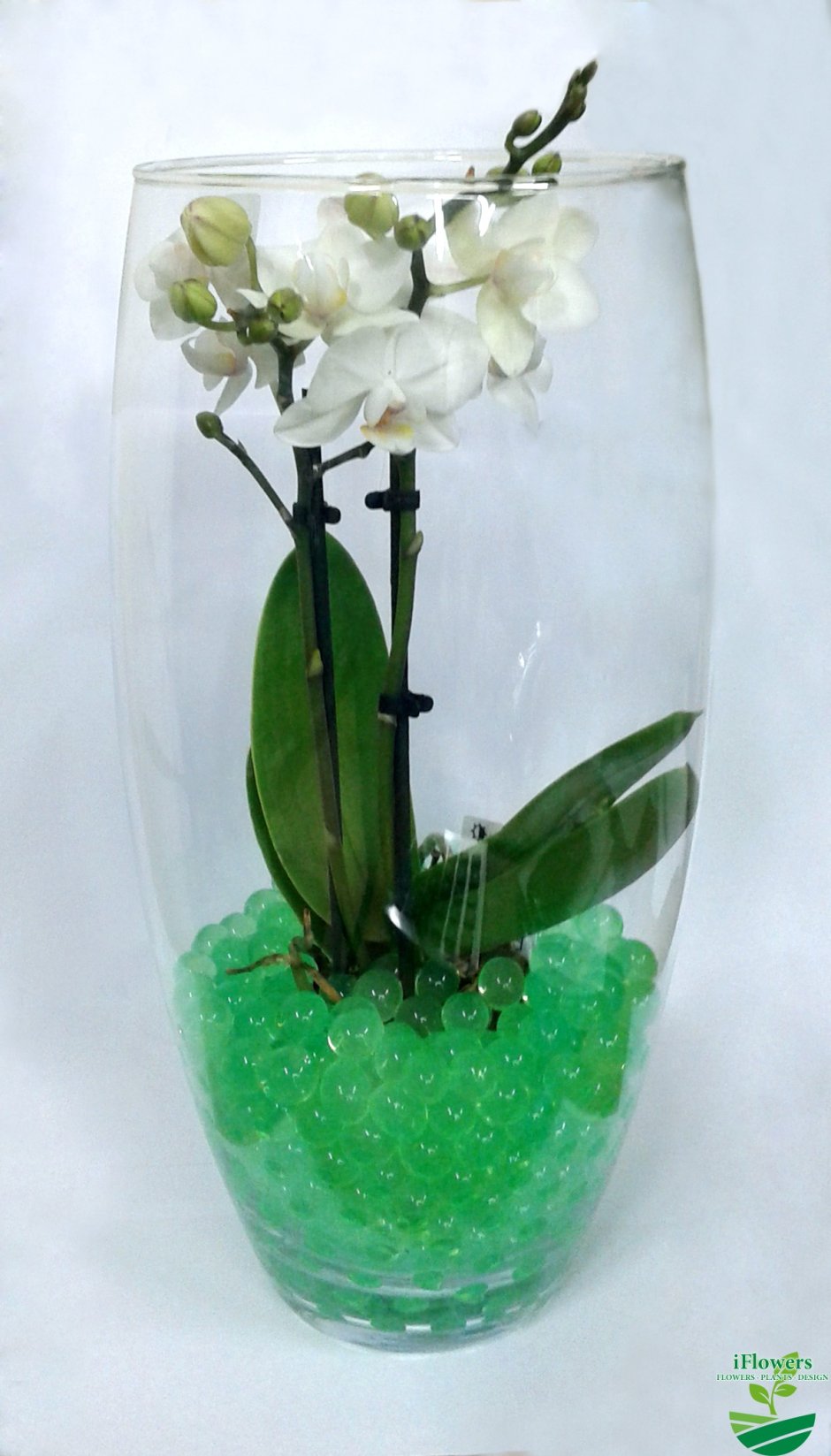Орхидея в вазе с камнями