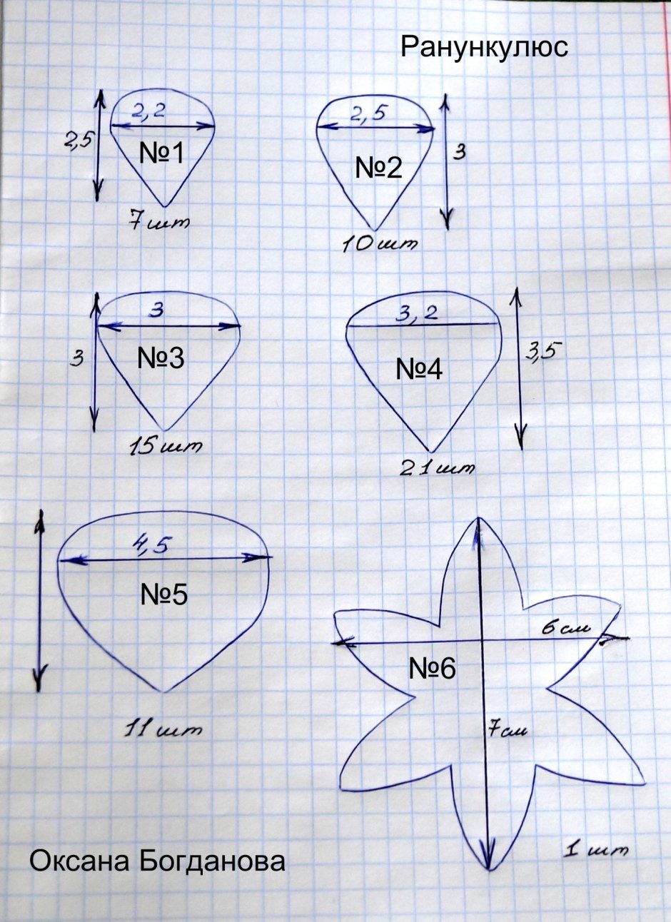 Выкройка ранункулюса из фоамирана
