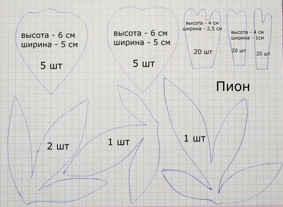 Шаблоны лепестков пиона из фоамирана