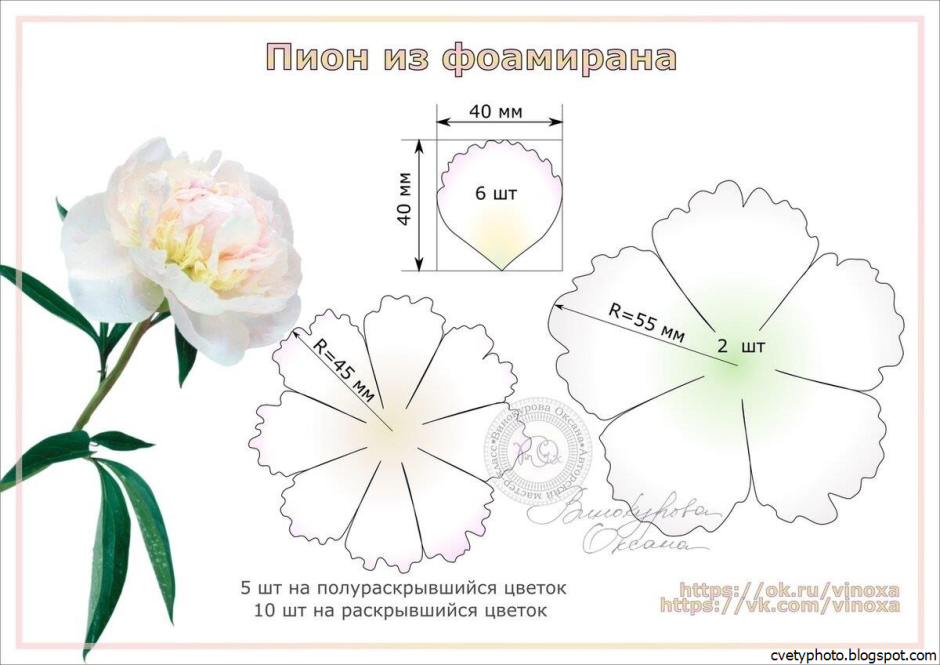 Пион из зефирного фоамирана