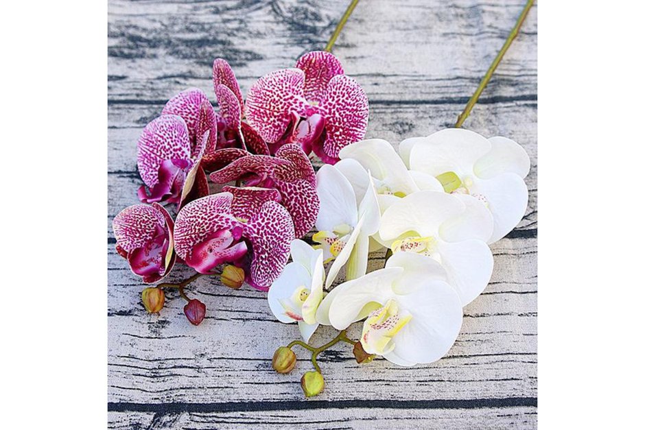Алмазная вышивка орхидеи