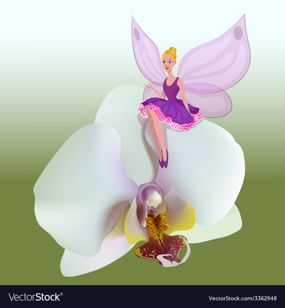 Орхидейная Фея