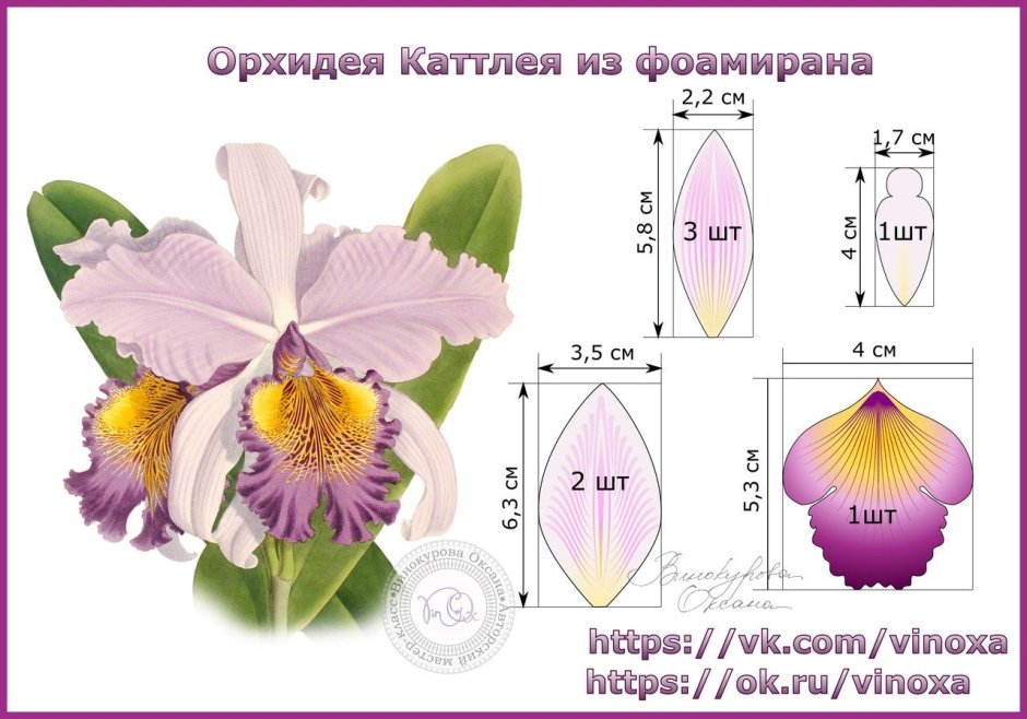Орхидея Каттлея из фоамирана