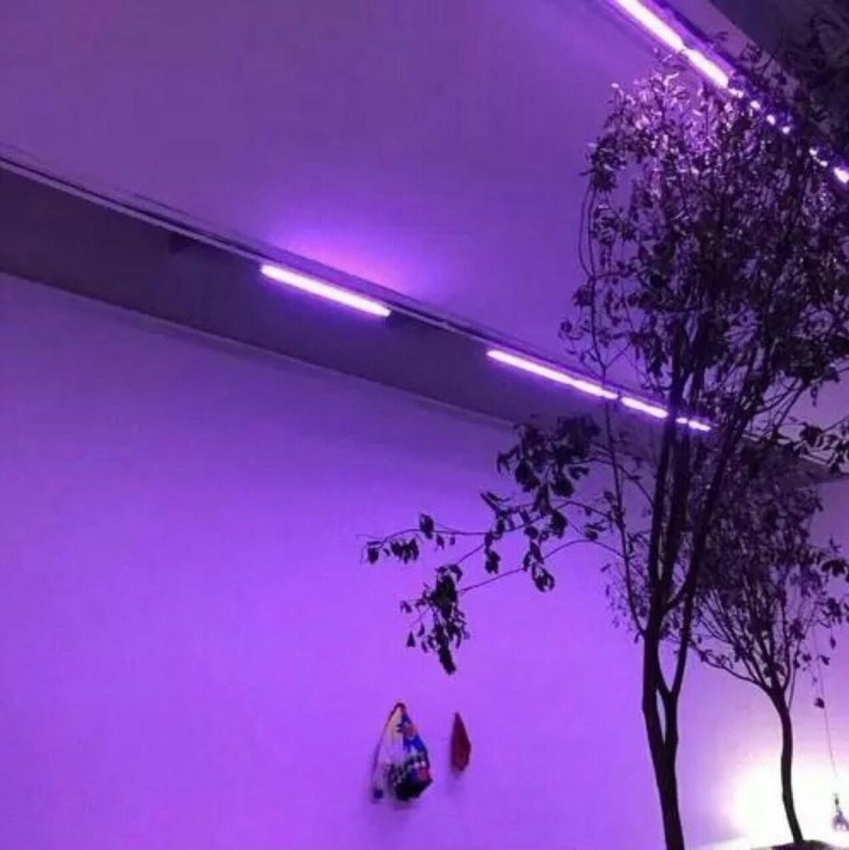 Эстетика неонового фиолетового