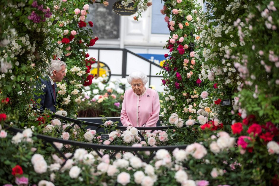 Королева Елизавета и сады в Челси