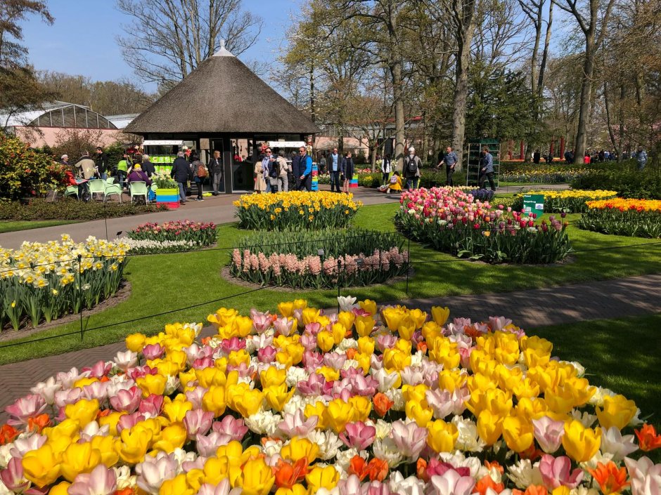 Амстердам парк цветов Кейкенхоф