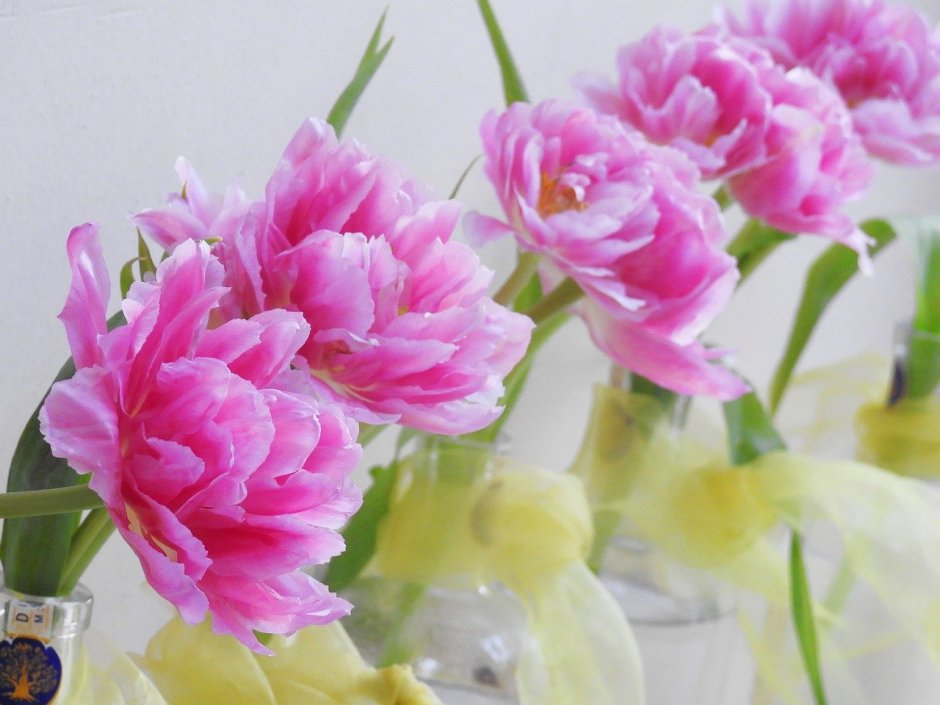 Пионы тюльпаны розовые