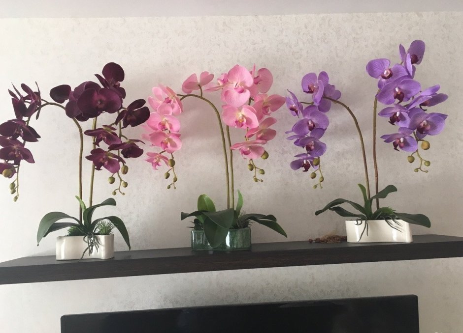 Искусственные орхидеи в интерьере на стене