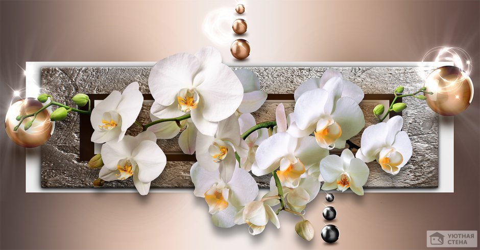 Белая Орхидея картина