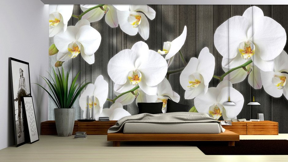 Фотообои 3 д для спальни орхидеи