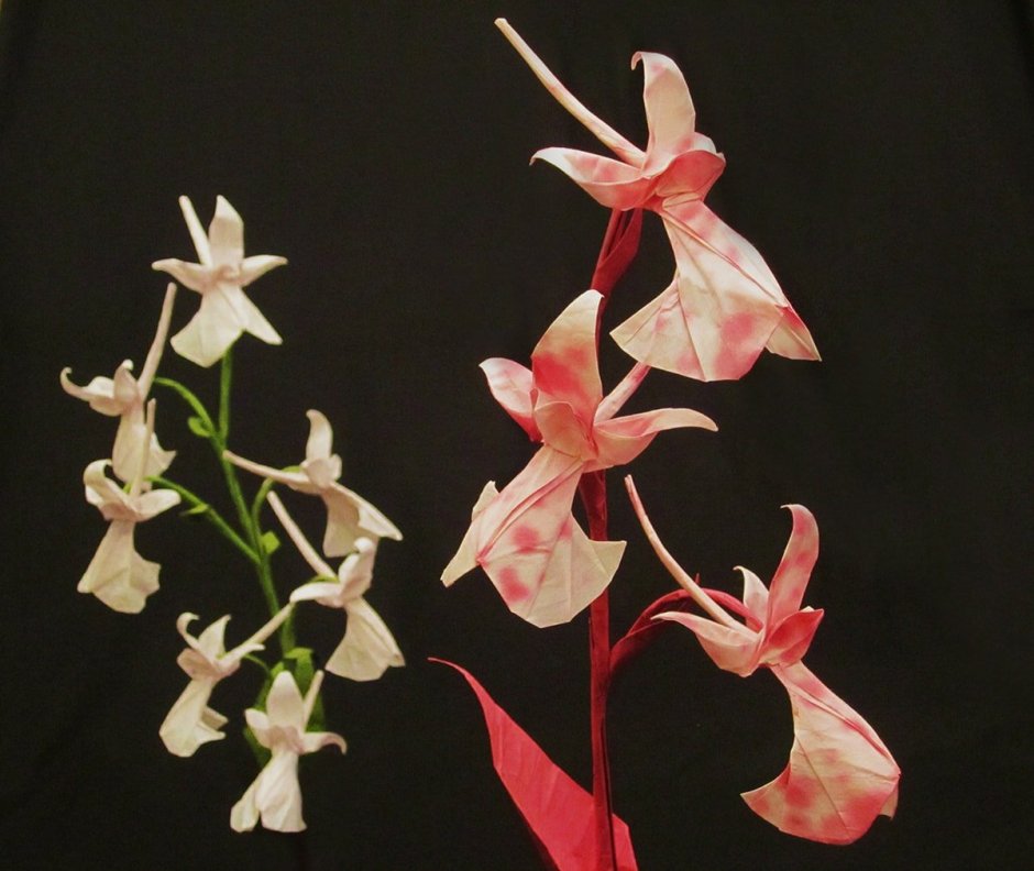 Квиллинг орхидеи