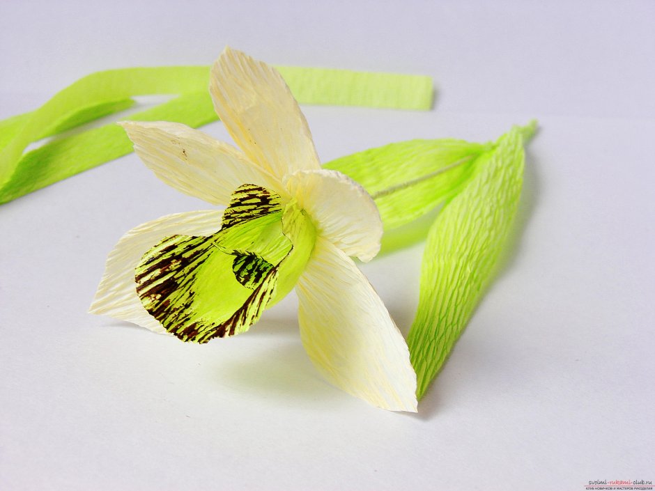 Орхидея из гофробумаги