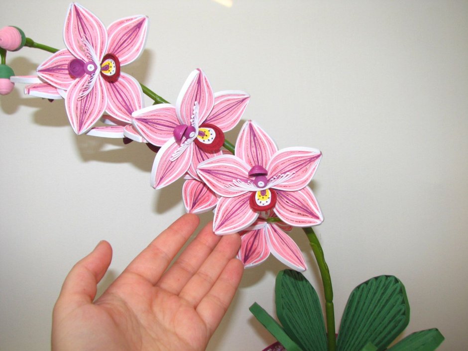 Орхидея Каттлея из фоамирана