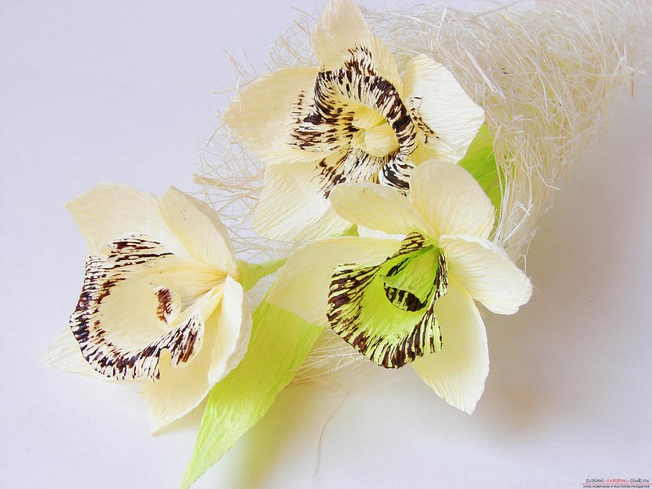 Орхидея из гофрированной бумаги своими руками