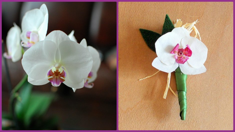Трафарет орхидеи из изолона