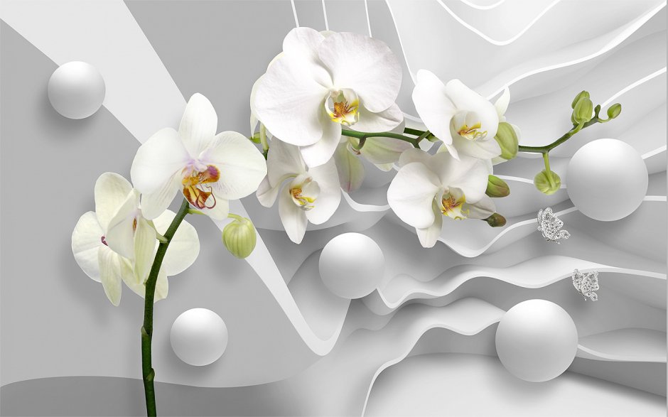 Фотообои орхидеи
