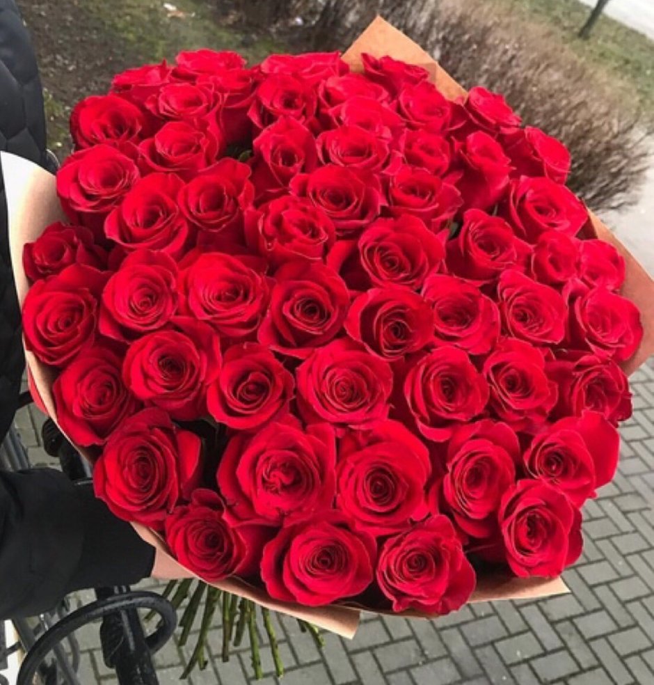 Розы 65 см