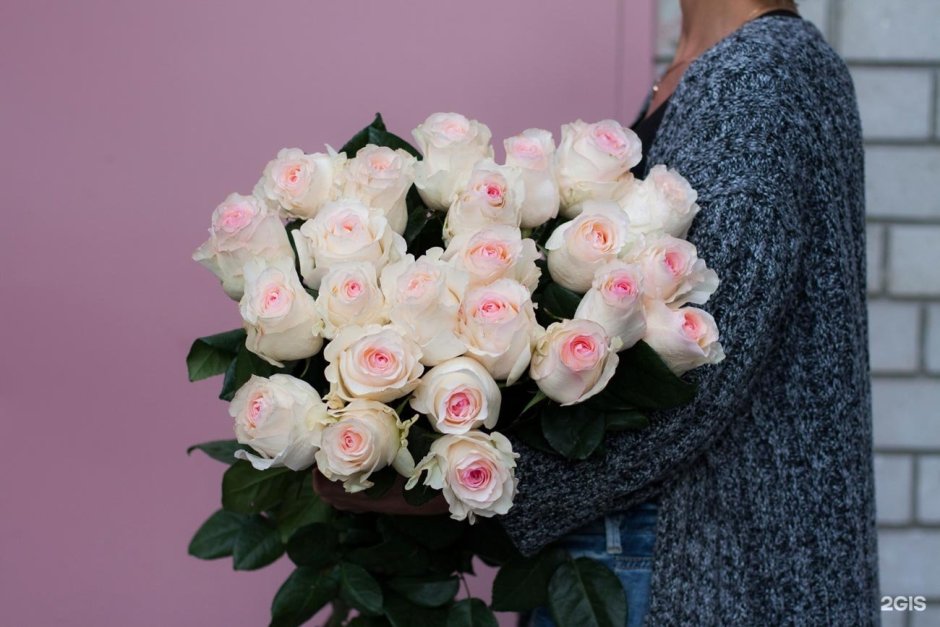 Эквадорские розы нежно розовые