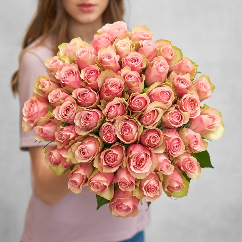 Роза кустовая Кения 40 см