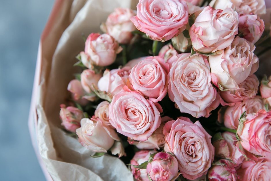 Роза кустовая Бомбастик нежно розовая