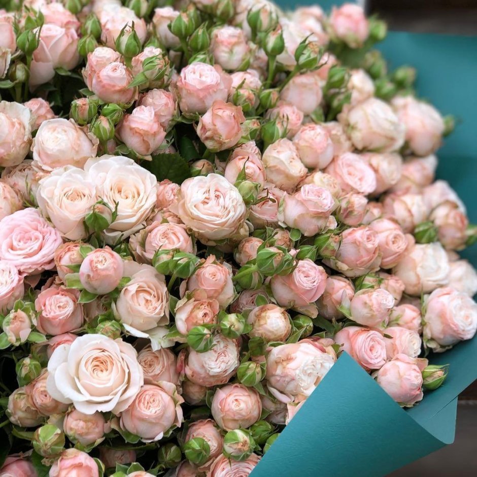 Кустовая роза Бомбастик розовая