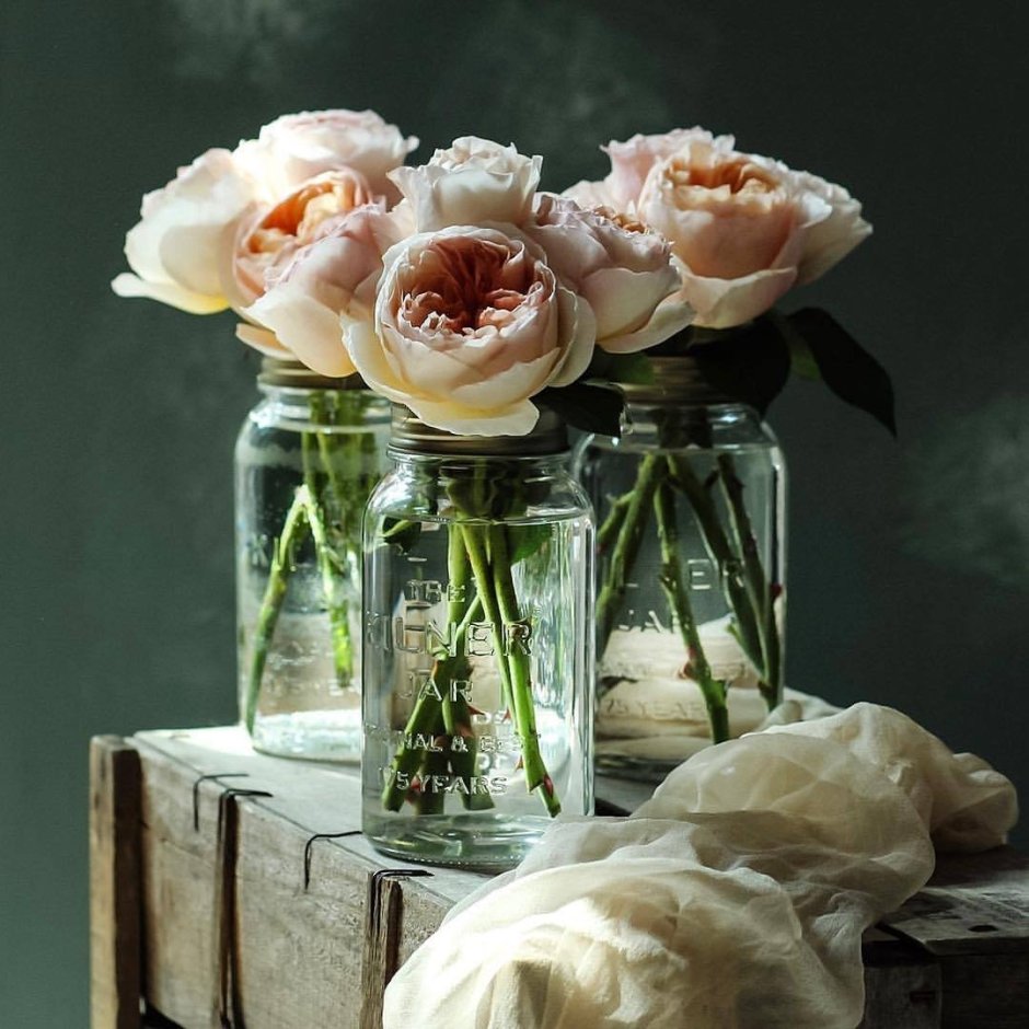 Роза Пикоти ваза